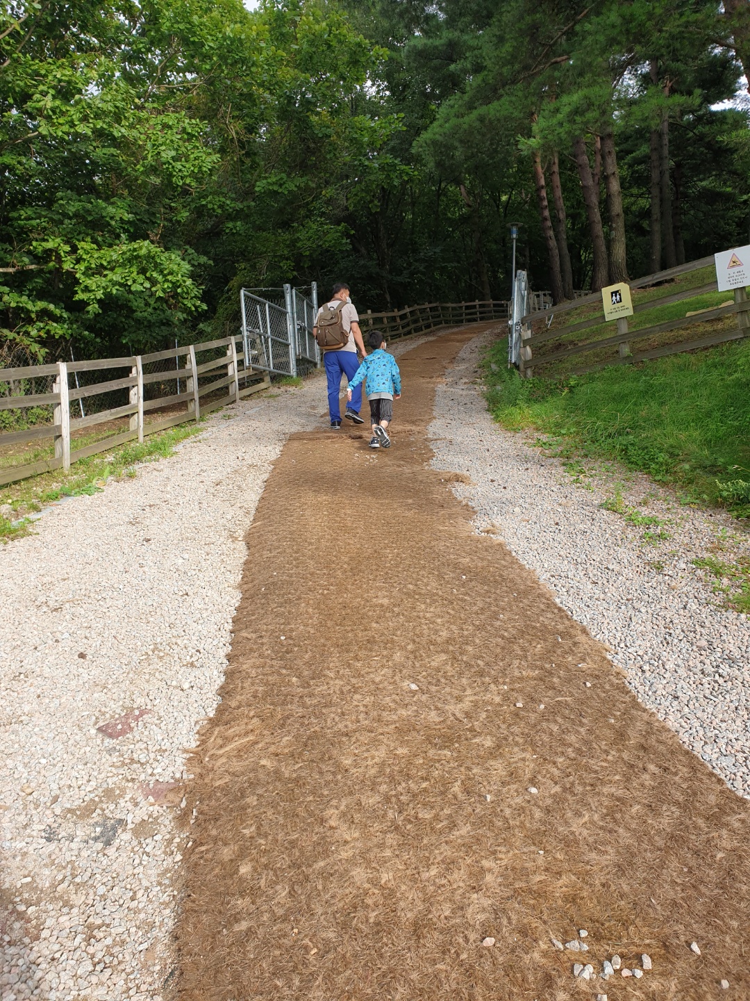 강원도평창가볼만한곳 6 