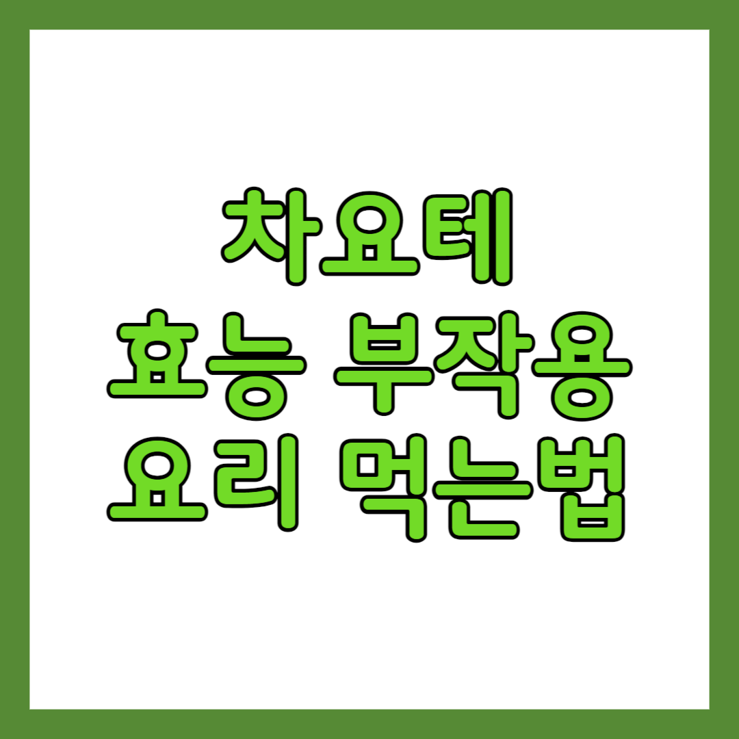 차요테 효능 부작용 요리 먹는 법
