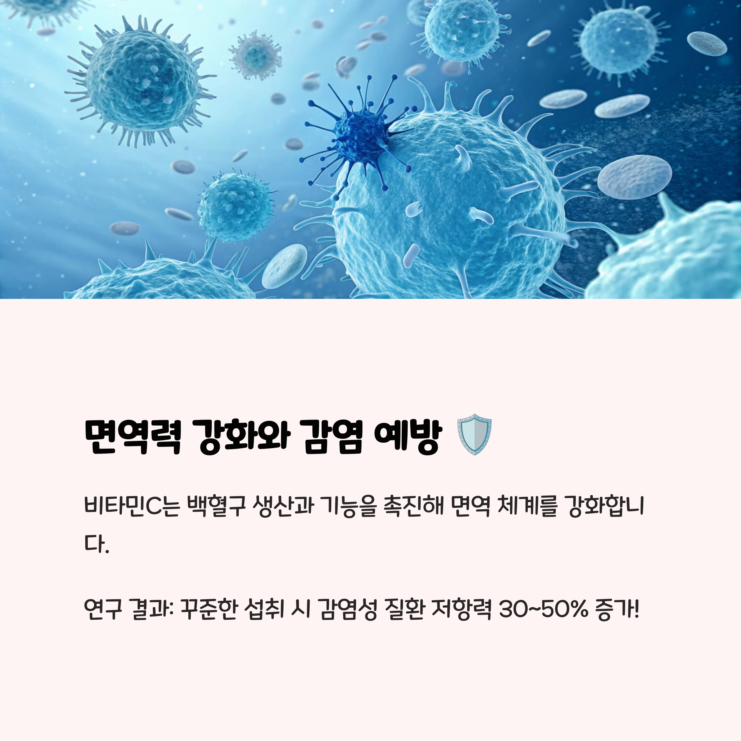 2. 면역력 강화와 감염 예방 🛡️
