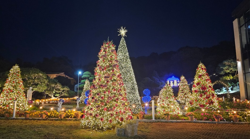 서울 근교 크리스마스트리 예쁜 카페 Best 5