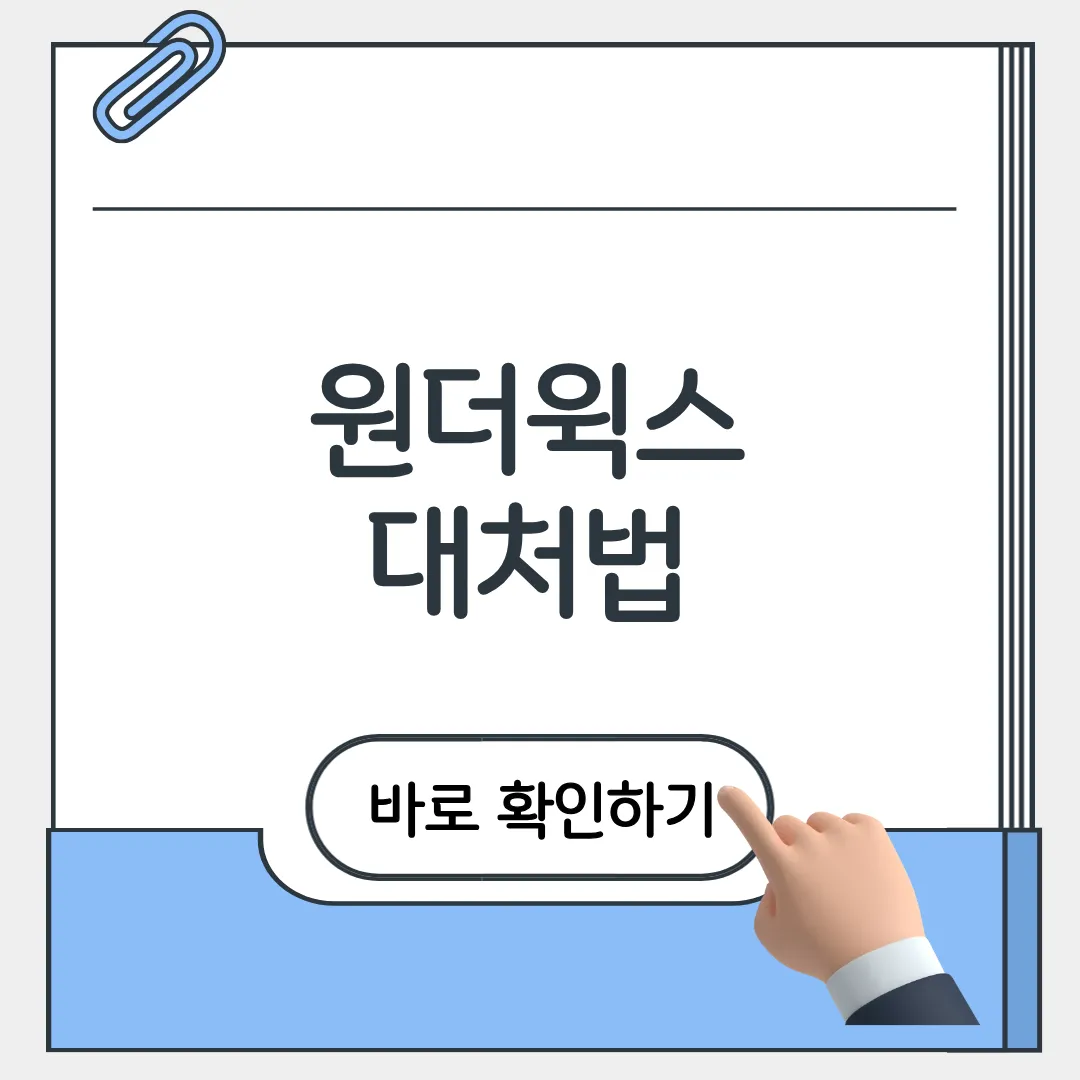원더윅스 대처법