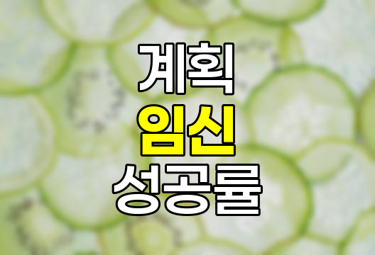 계획 임신 성공률을 높이는 8가지 방법