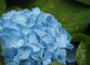 2024 장마 예상 기간