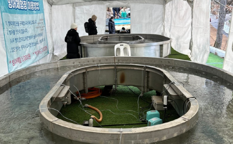 양주 눈꽃축제 눈썰매장