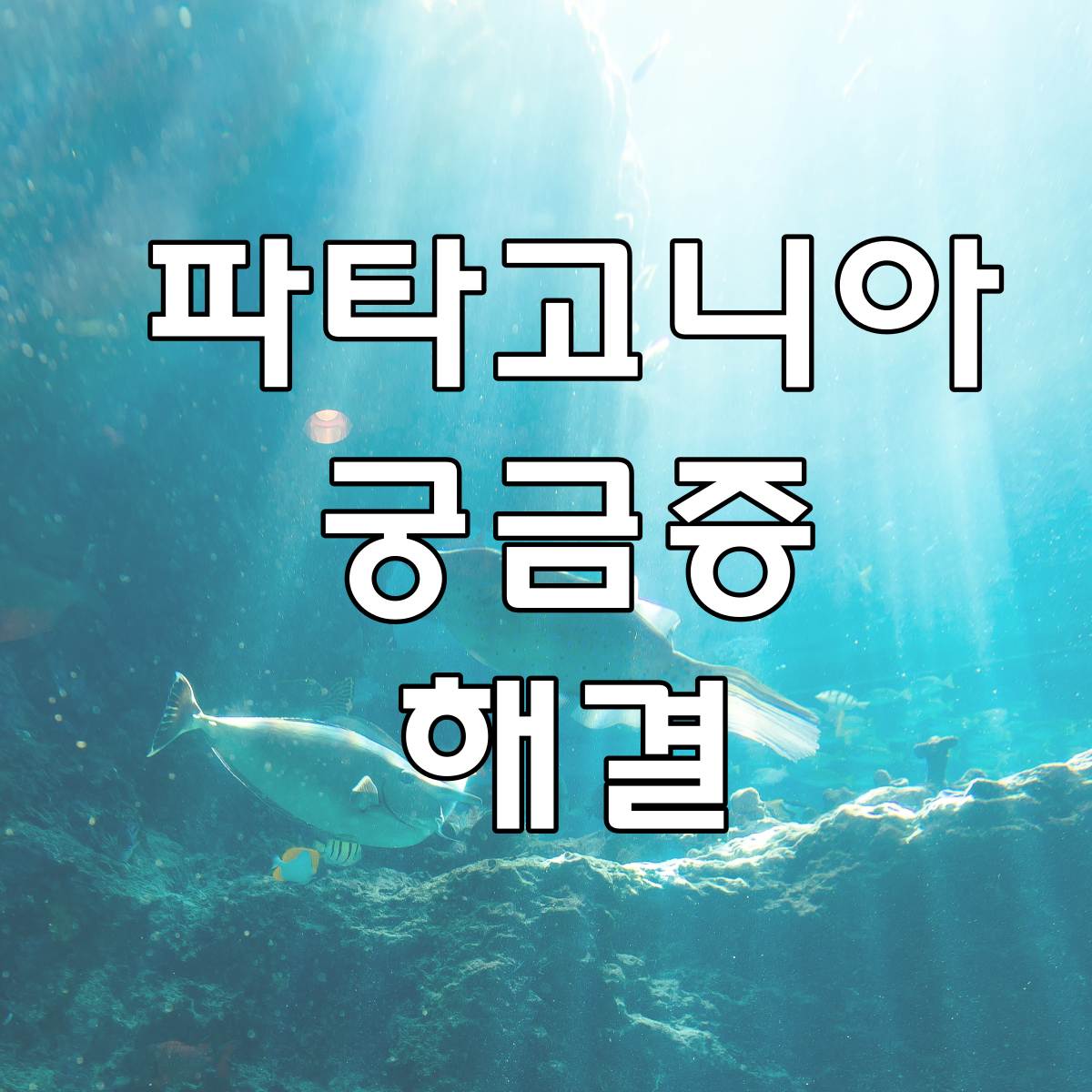파타고니아