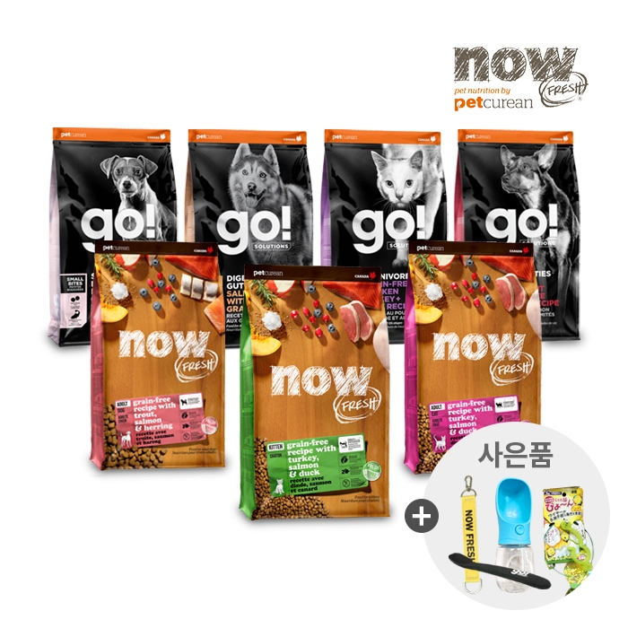 당신의 고양이를 위한 완벽한 식사: 반려묘 사료의 모든 것