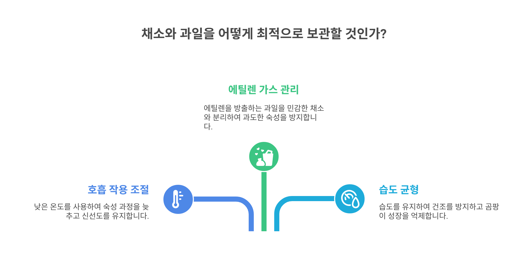 채소·과일 보관의 기본 원리 이해하기