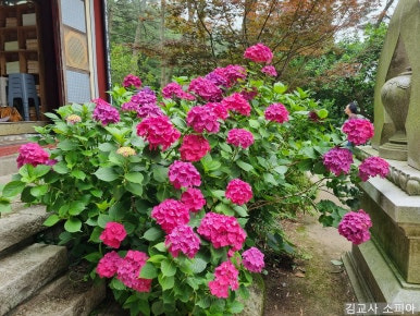 부산 태종대 폭염 여행 리얼후기🌊 여름 필수템 8가지 추천