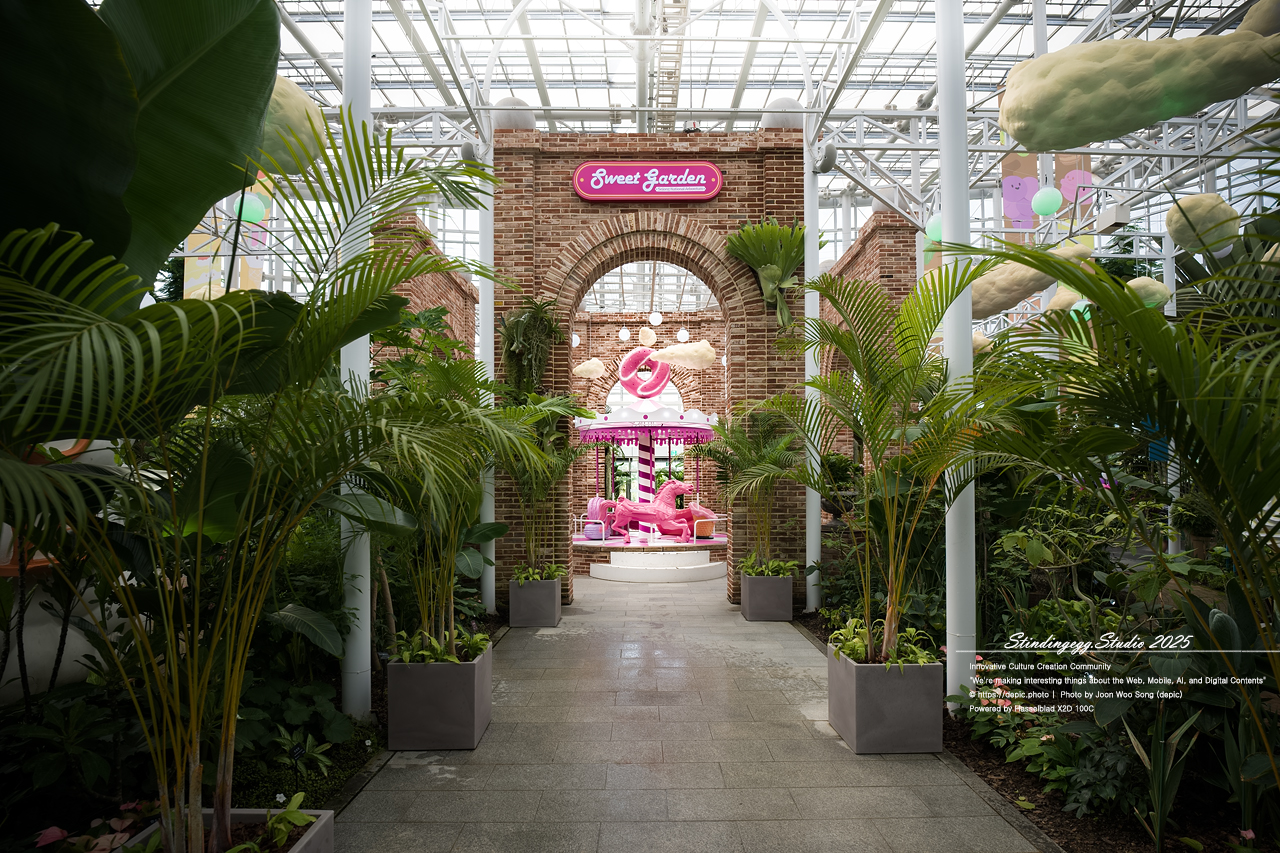 #세종 #수목원 #세종수목원 #온실 #꽃