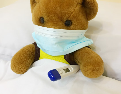 퀴노아 : 면역력