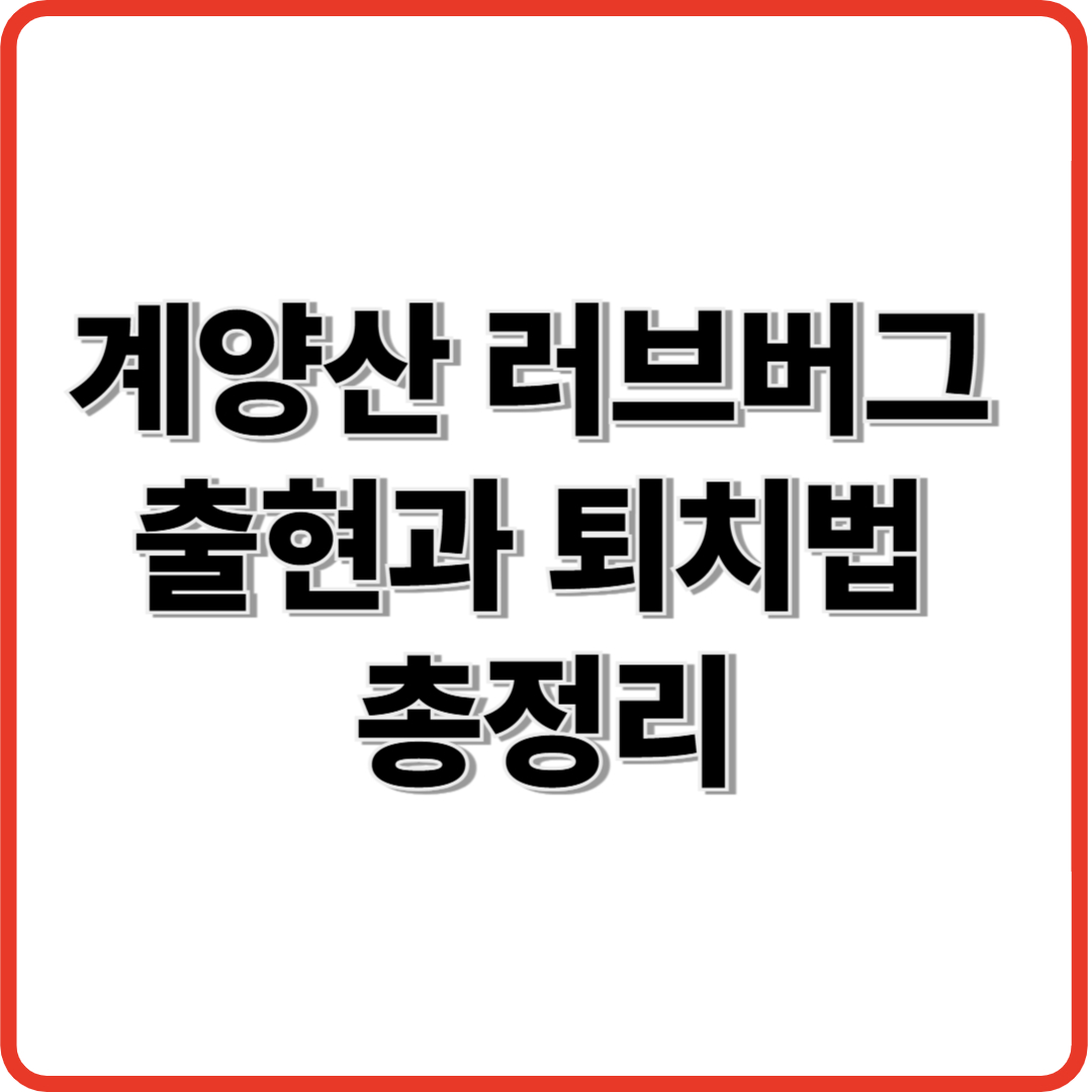 계양산 러브버그 출현과 퇴치법 총정리