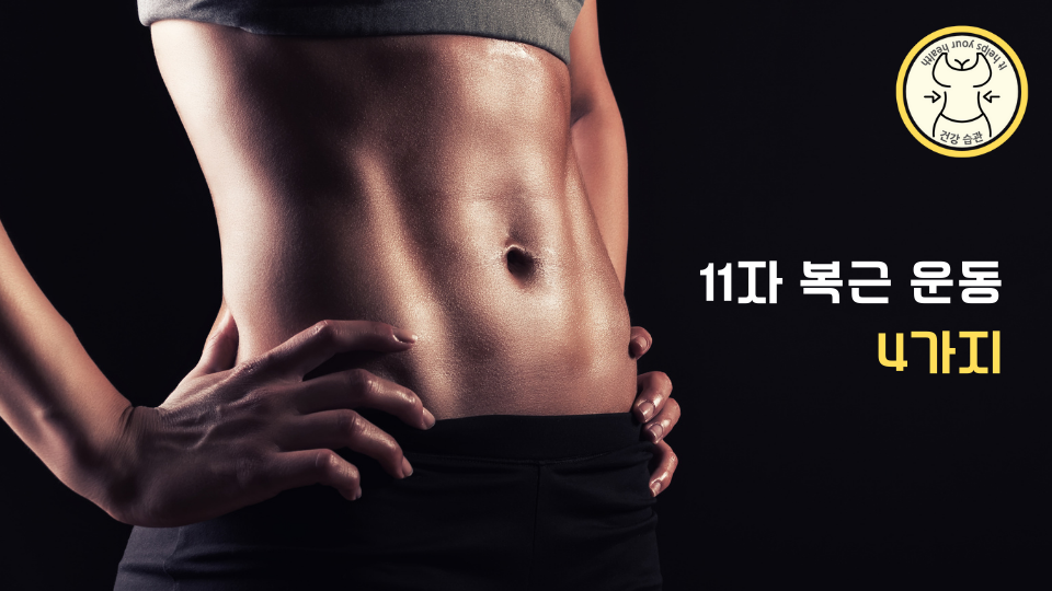 11자 복근을 만드는 운동 4가지 11자 복근을 만드는 운동 4가지