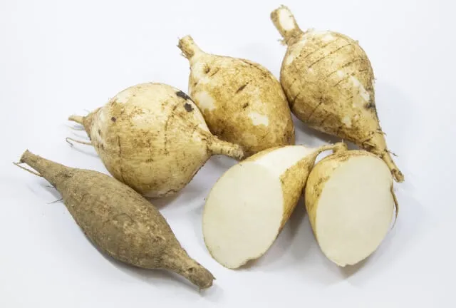 멕시코감자 이눌린 성분