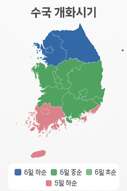 수국개화시기