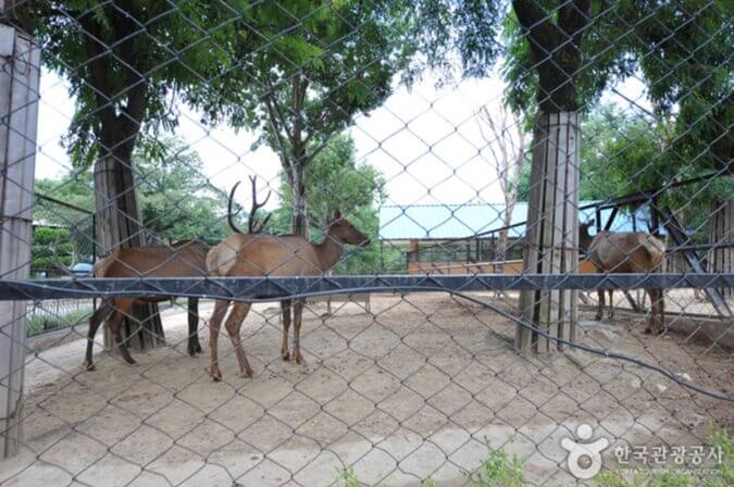 전주 가볼만한곳 베스트 10