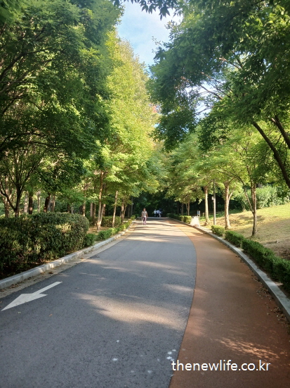A tree-lined path ideal for walking or strollers in Children's Grand Park./서울 어린이대공원 산책로, 나무 그늘 아래 평탄한 보행로