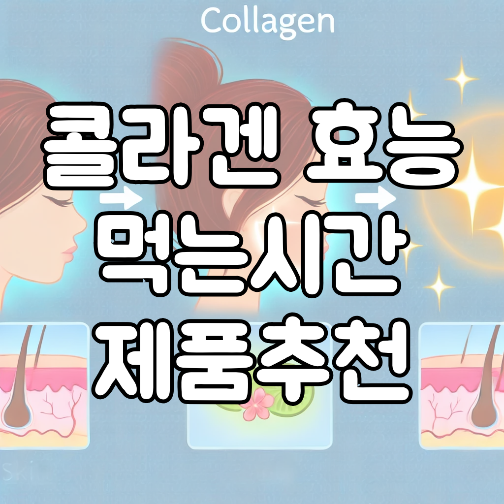 콜라겐의 효능, 콜라겐 먹는시간, 제품추천