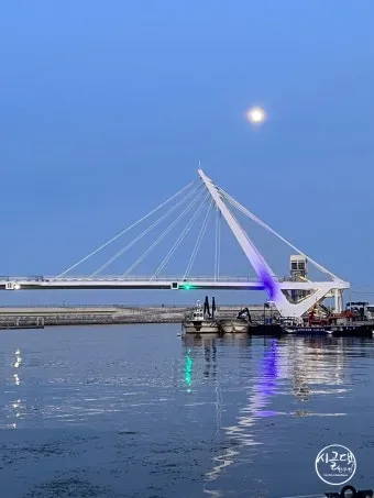 속초 대포항 맛집 추천 회센터 근처 인기 식당 리스트_2