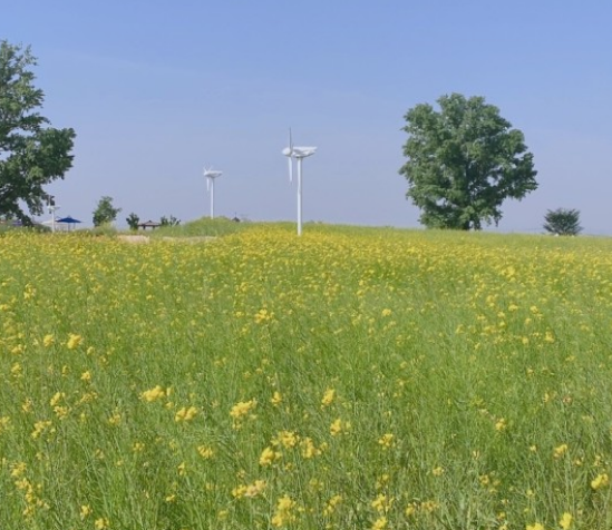 전국수선화명소