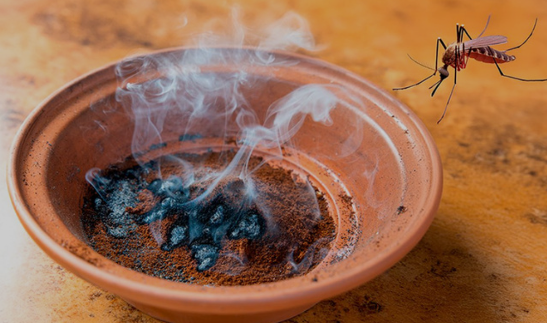 천연 모기 퇴치제 사진