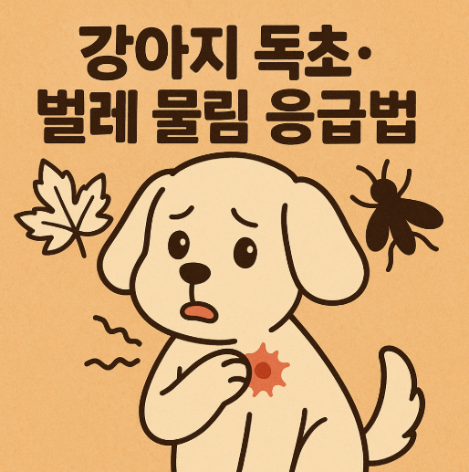 강아지 독초,벌레 물림 응급법에 관한 사진