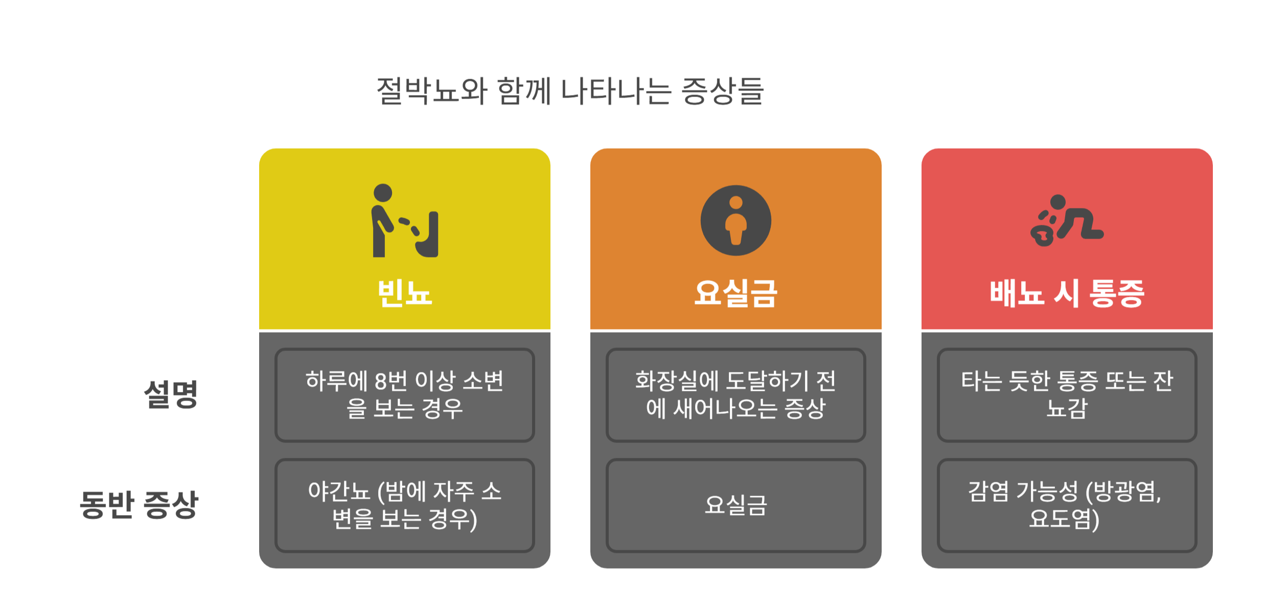 절박뇨와 함께 나타나는 증상들