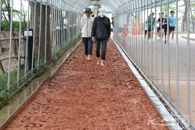 황토길 맨발걷기 효능 부작용 무좀_5