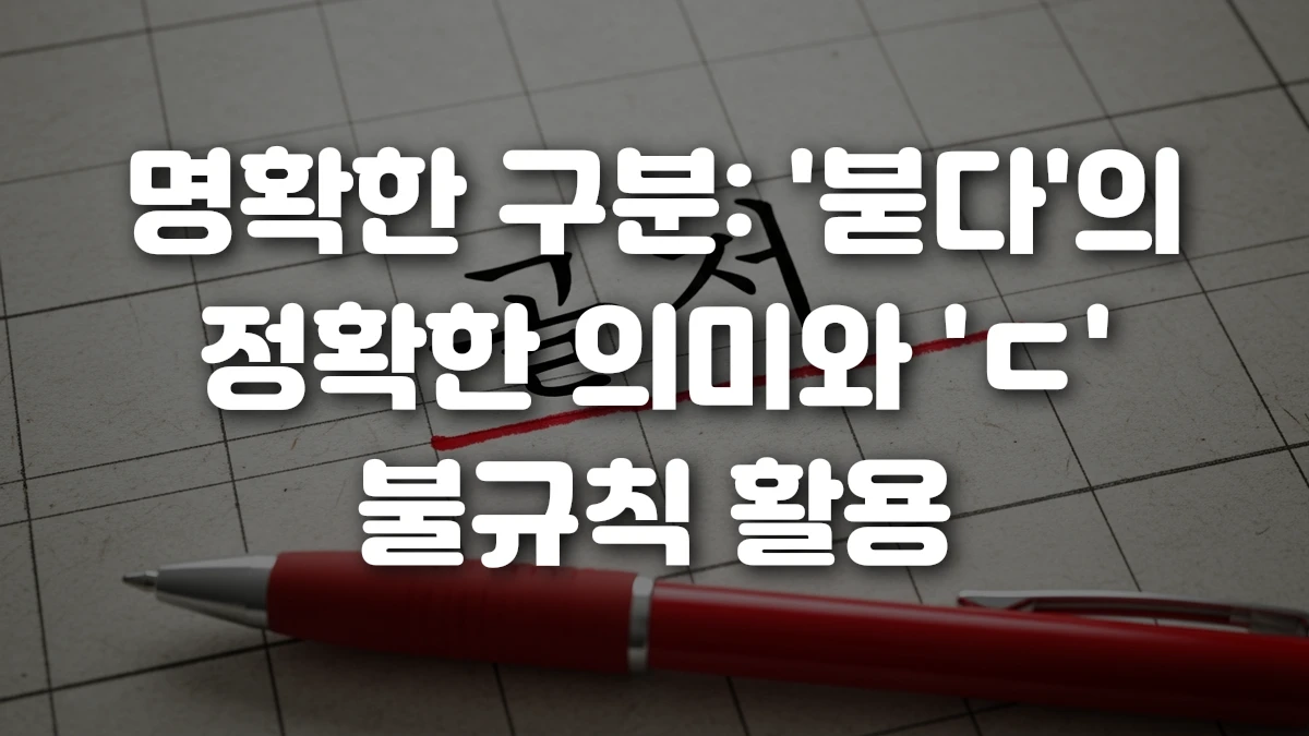 명확한 구분 붇다 의 정확한 의미와 ㄷ 불규칙 활용