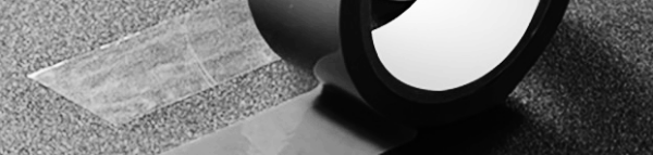 강아지 진드기 퇴치법