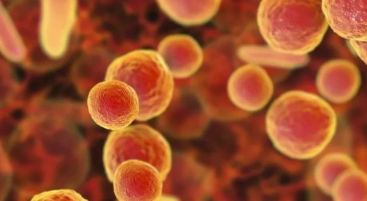 마이코플라즈마 폐렴 증상 및 진단과 치료방법(+ 자주묻는질문)