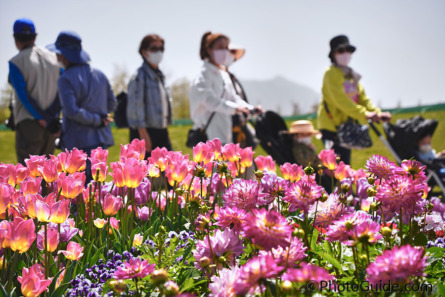 순천만국제정원박람회