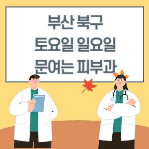 부산 북구 토요일 일요일 피부과 진료 병원 리스트