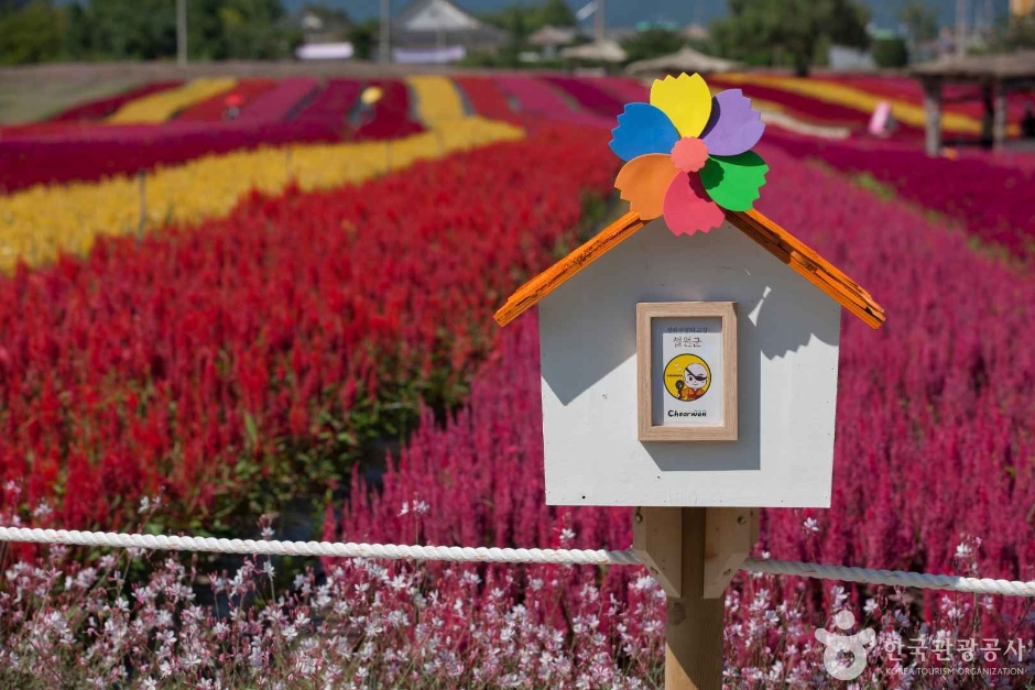 철원 가볼만한곳 베스트10