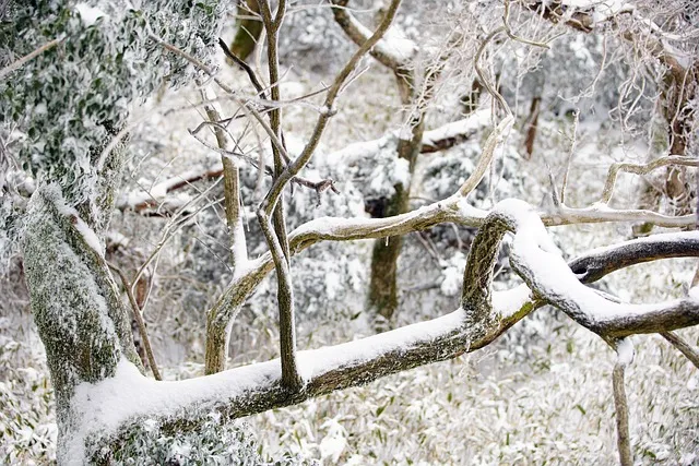 실시간 제주도 제주날씨 주간예보로_3