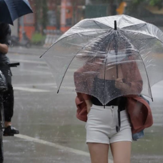 올해 장마시기1