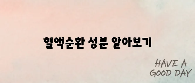 손발 저림과 냉증에 효과적인 혈액순환 개선제, 성분별 효과를 비교해보자!