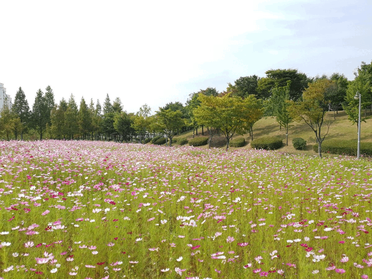 부천상동호수공원