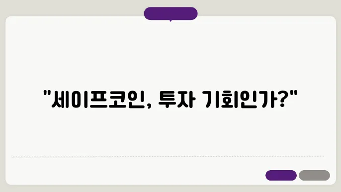 세이프(SAFE)코인 개요와 소개 및 전망