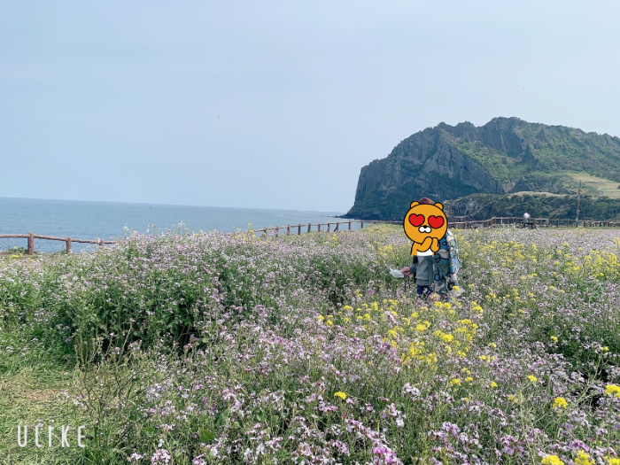 성산일출봉 산책로