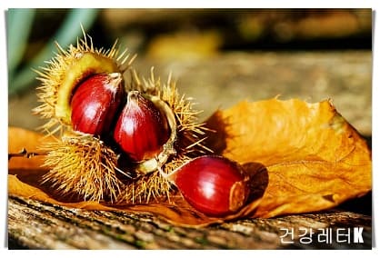 밤 5