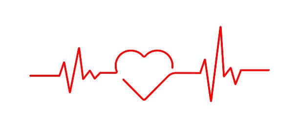 심장에 무리 안 주는 시니어 러닝 심박수 가이드