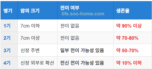 신장암 1기의 병기 분류