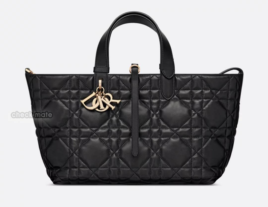 디올 뚜주흐백 미디움