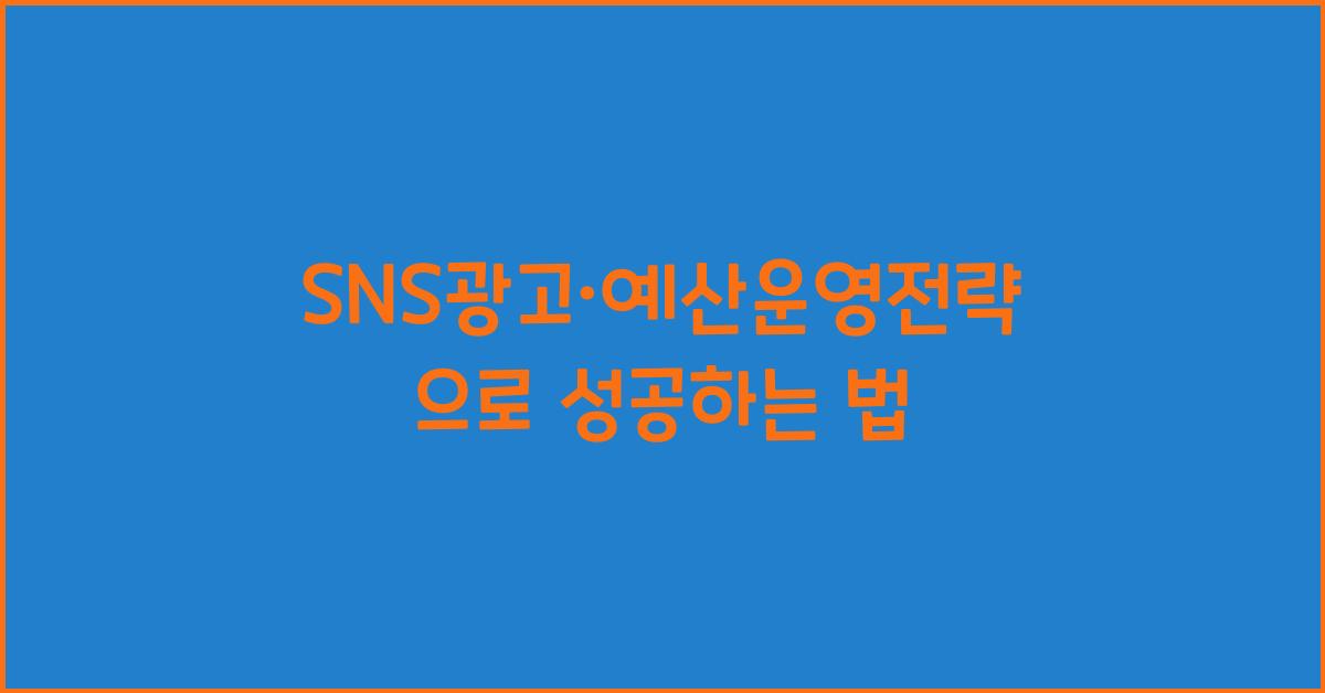 SNS광고·예산운영전략