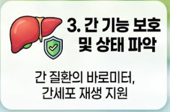 알부민 효능