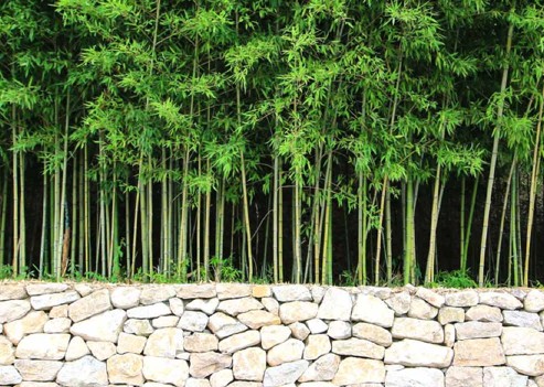 아이들과 아이랑 함께 담양 가볼만한곳 베스트10 죽녹원