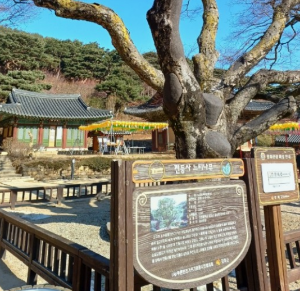 부처님오신날유명사찰