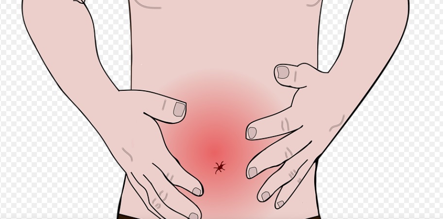 진정주 생기산 복용후기