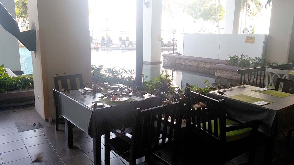 말레이시아(Malaysia) 코타키나발루(Kota Kinabalu) 수트라하버 리조트(Sutera Harbour Resort)