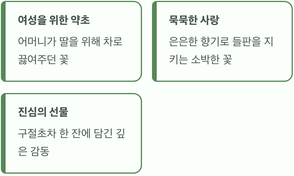 어머니의 사랑을 닮은 꽃